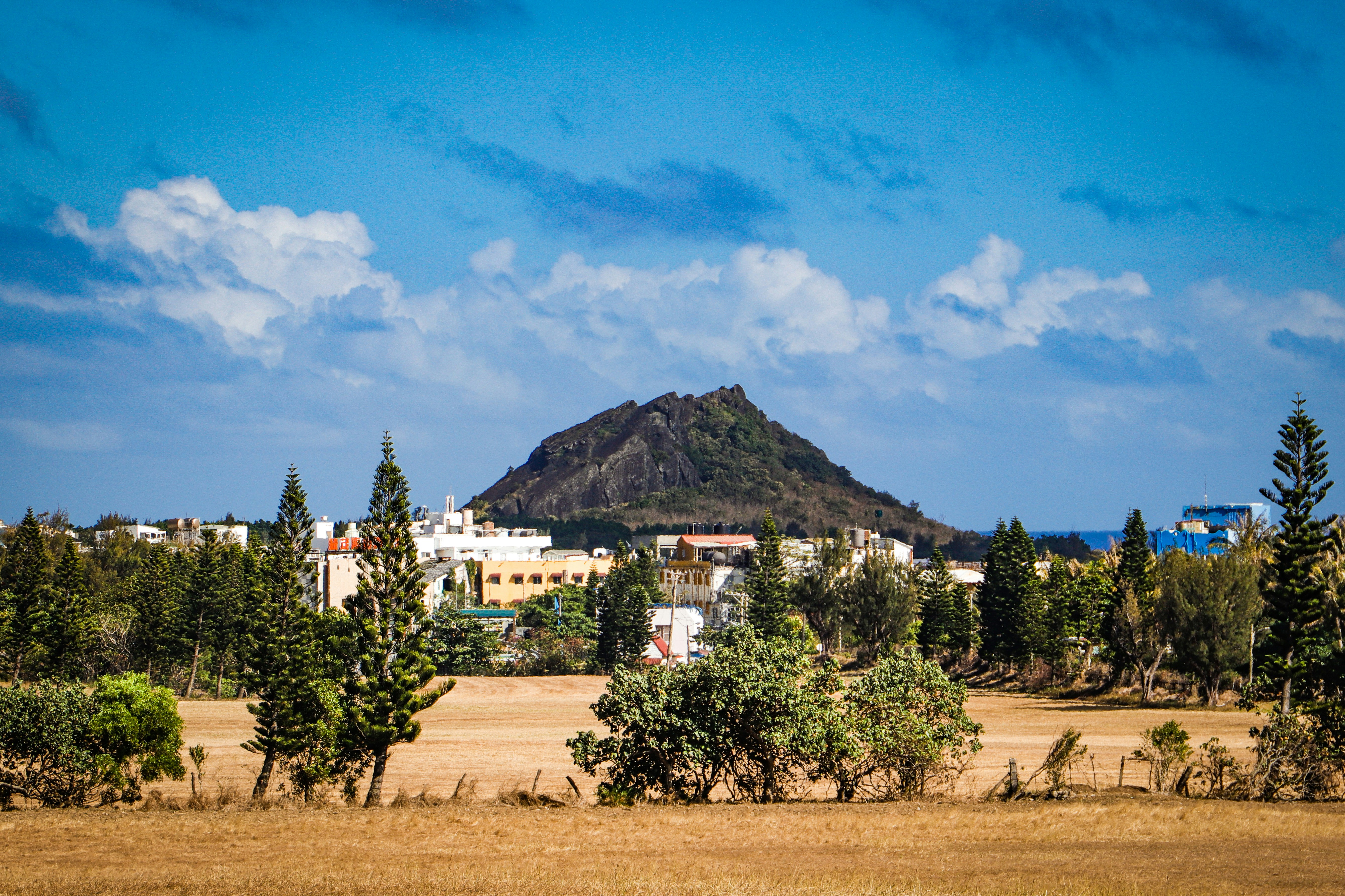 green trees near white concrete building under blue sky during daytime