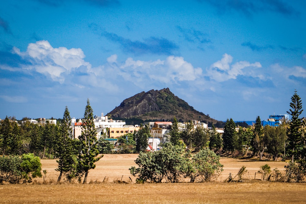 green trees near white concrete building under blue sky during daytime