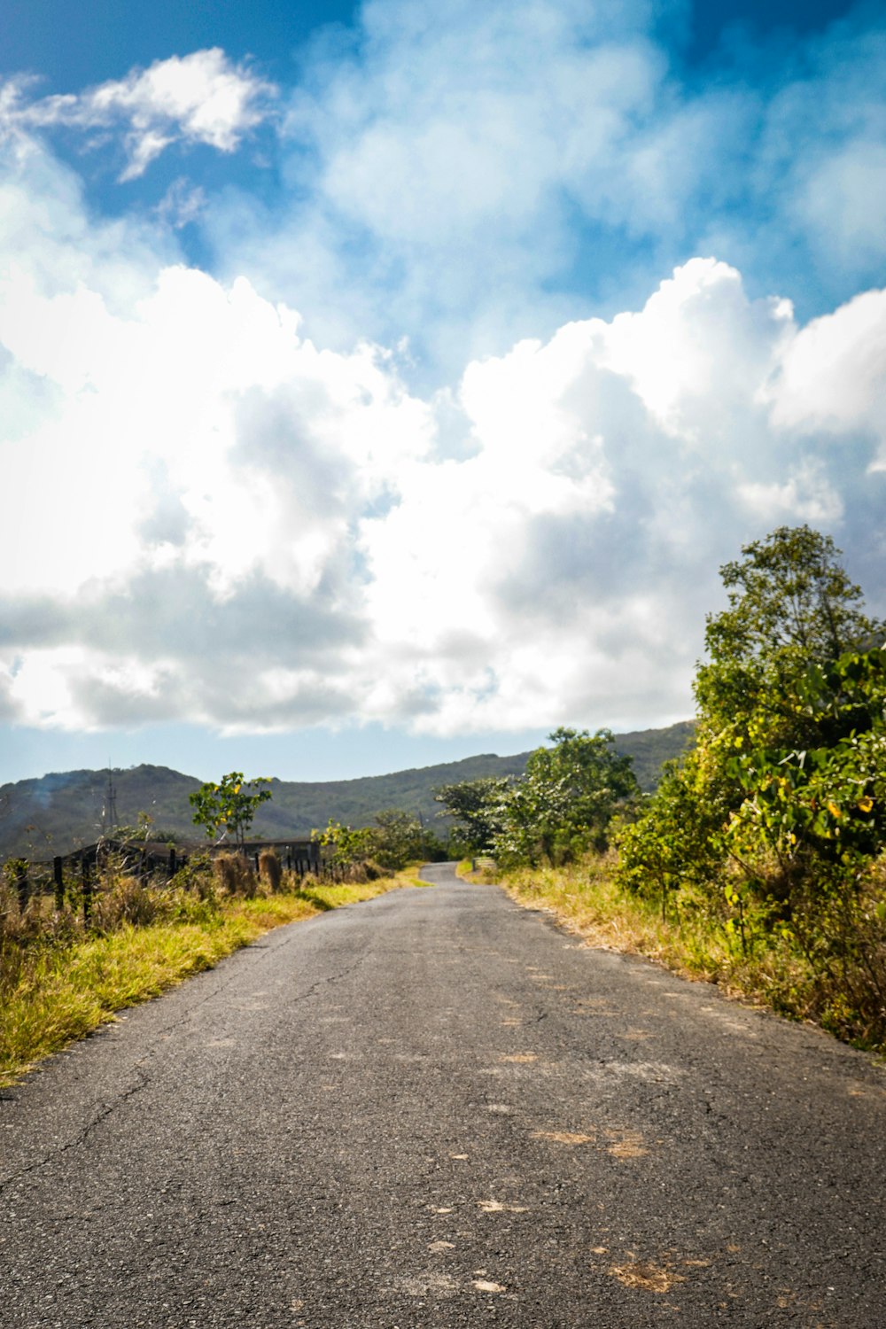 gray asphalt road between green trees under white clouds during daytime