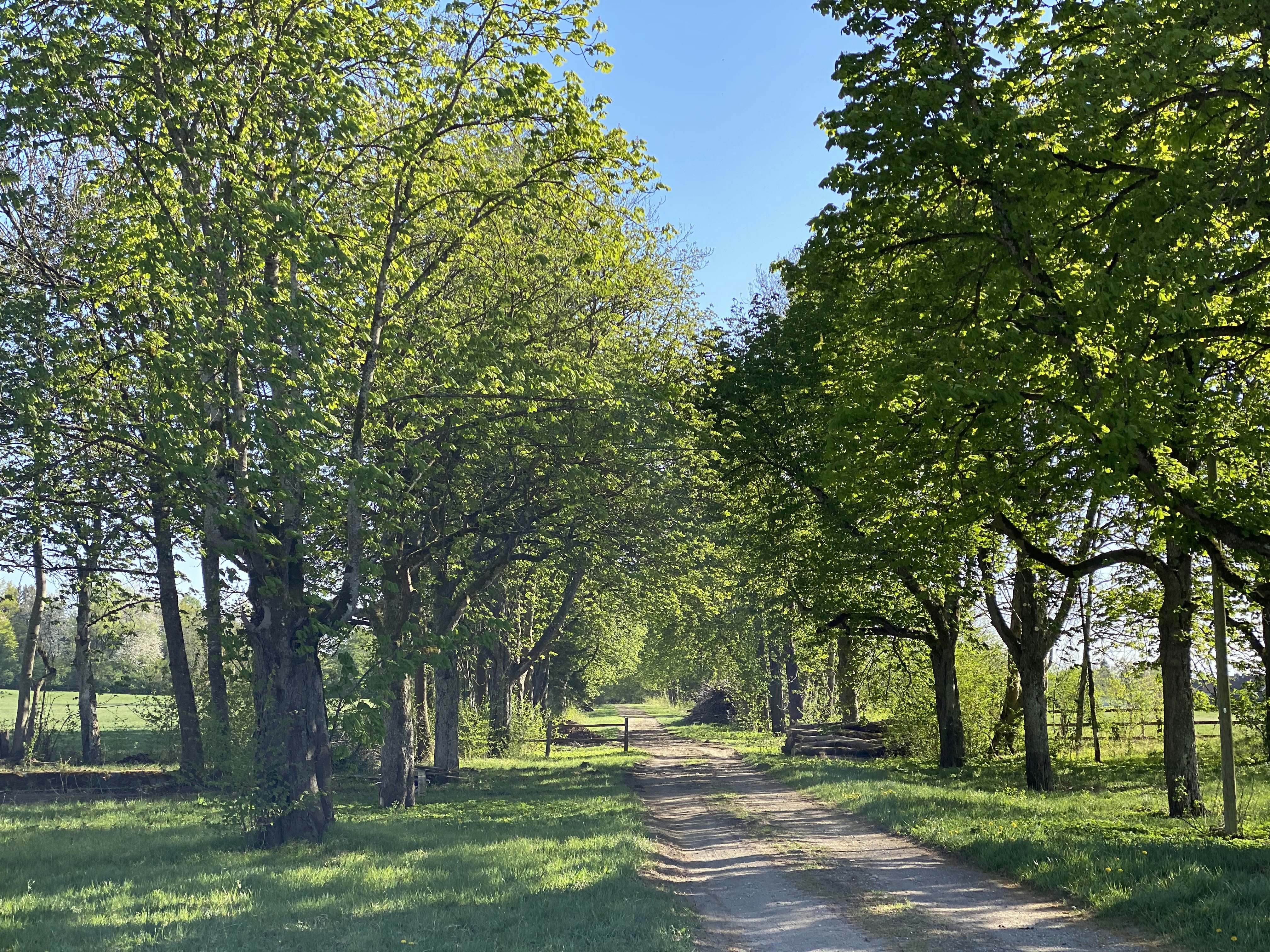 Photo by dannykorpan1985