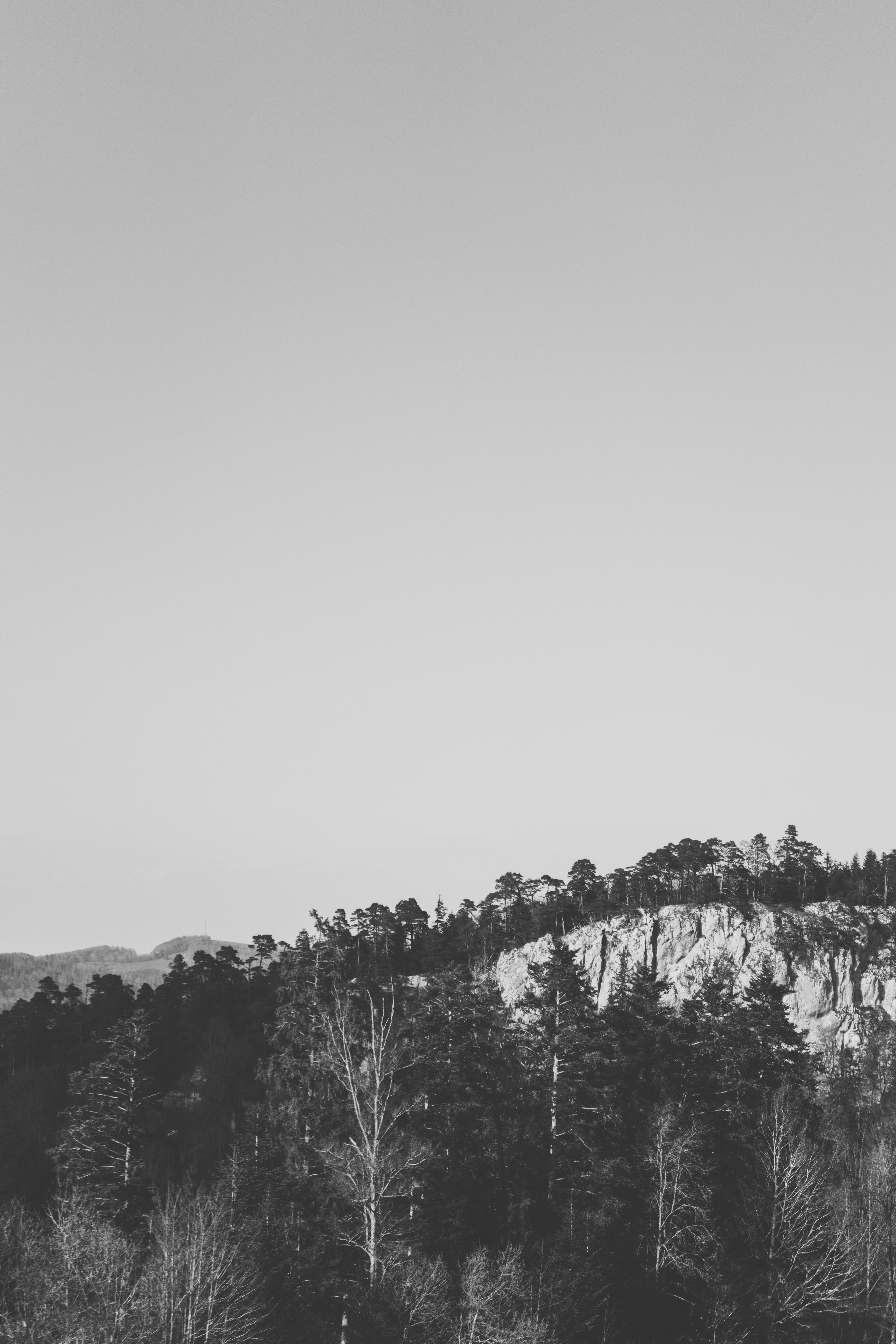 Photo by virussinside