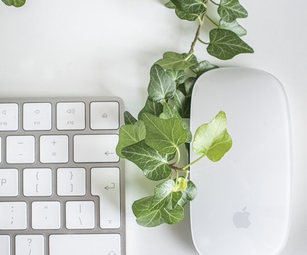 white apple magic mouse beside green leaves