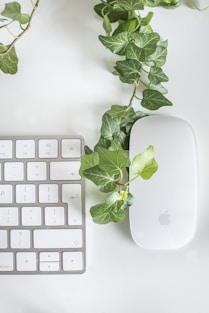 white apple magic mouse beside green leaves