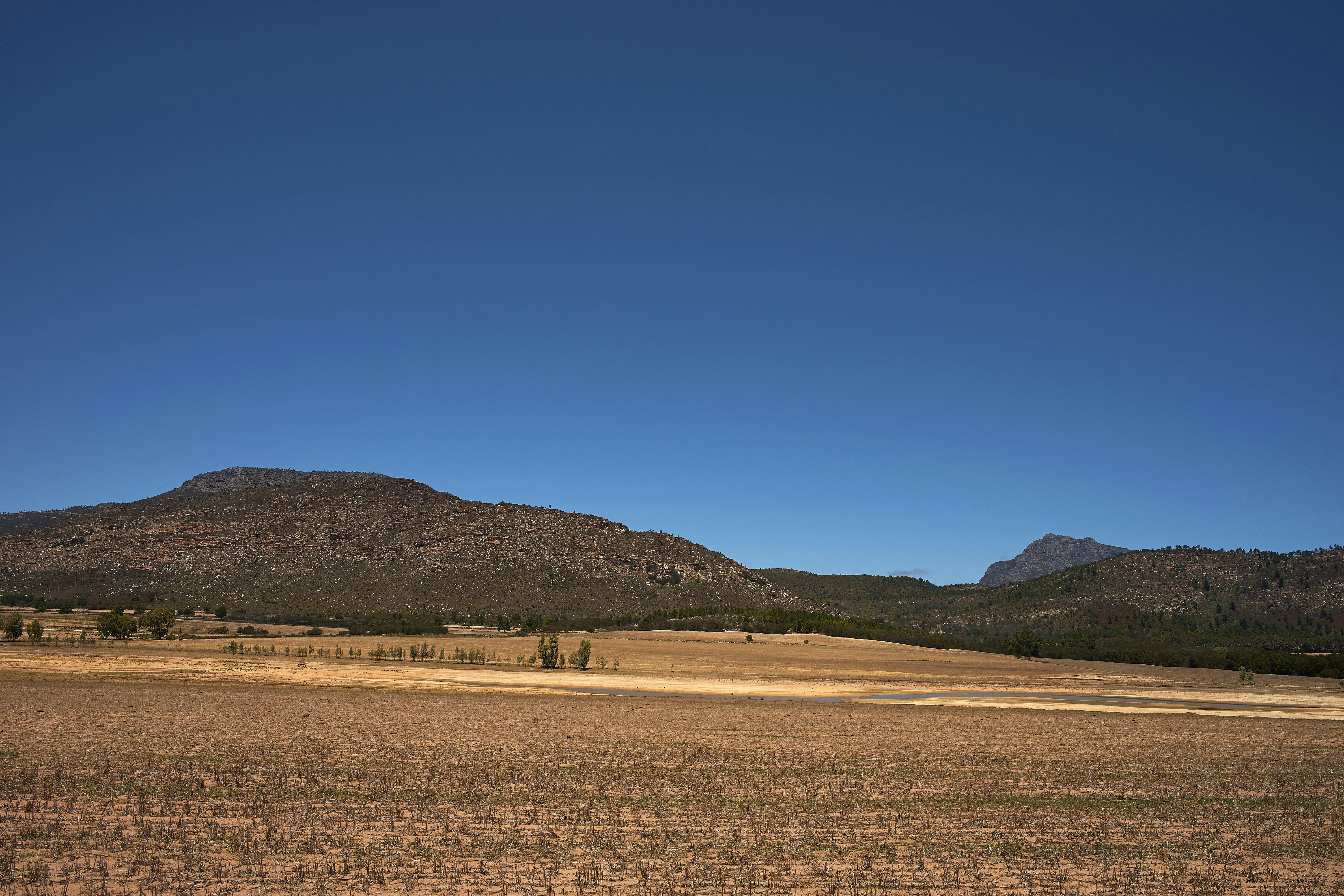 Photo by wolfgang_hasselmann