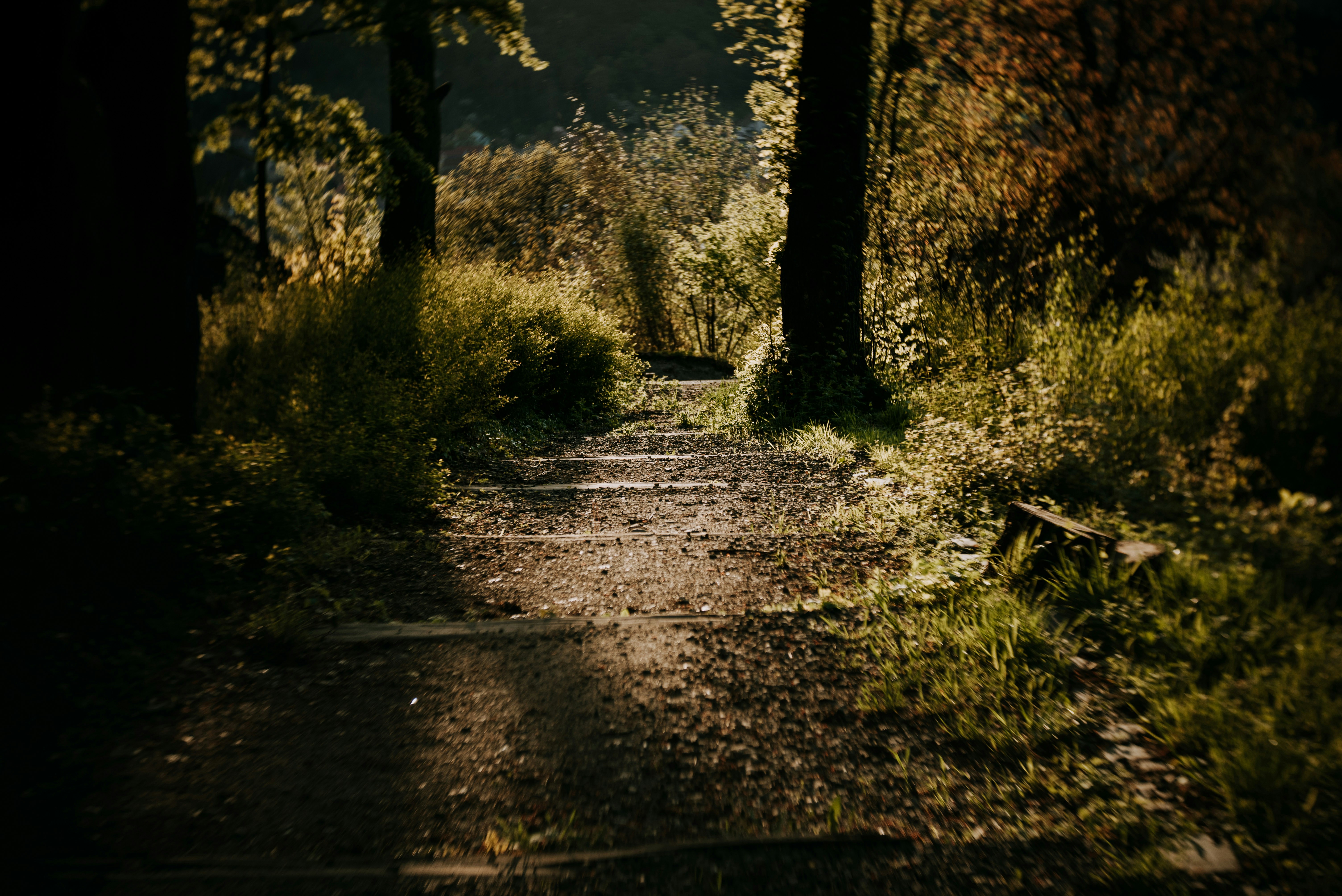 Photo by eduardgross