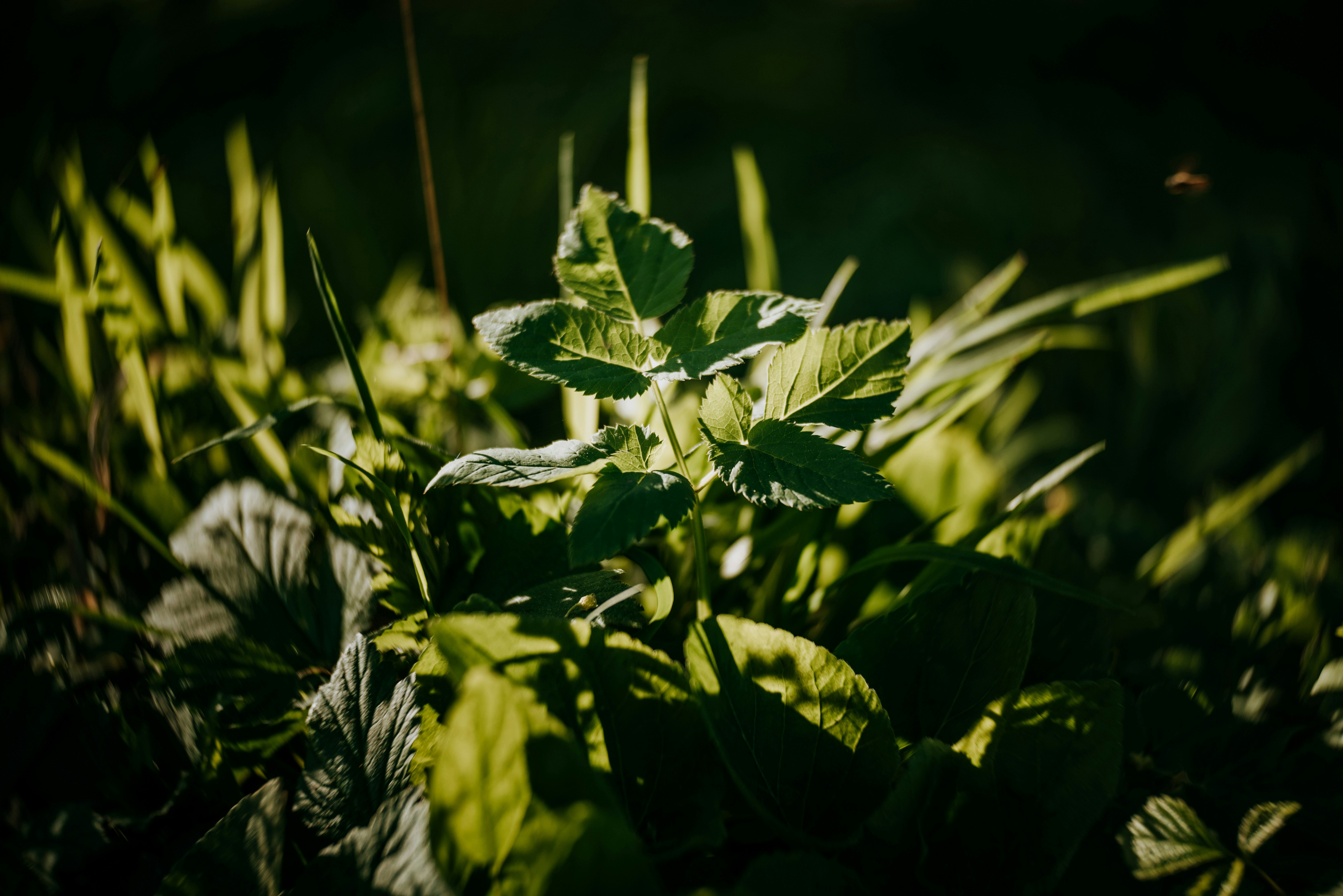 Photo by eduardgross