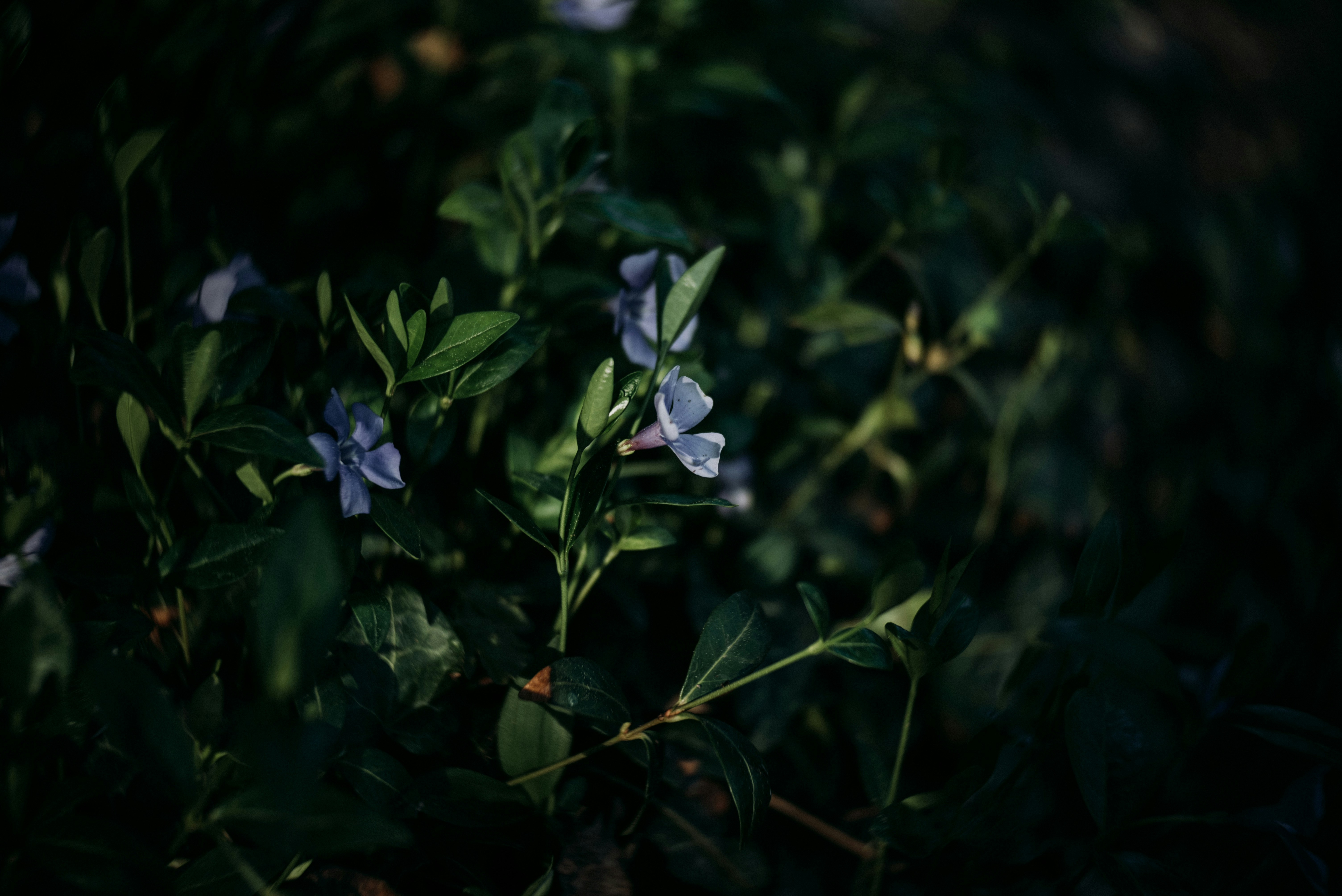 Photo by eduardgross