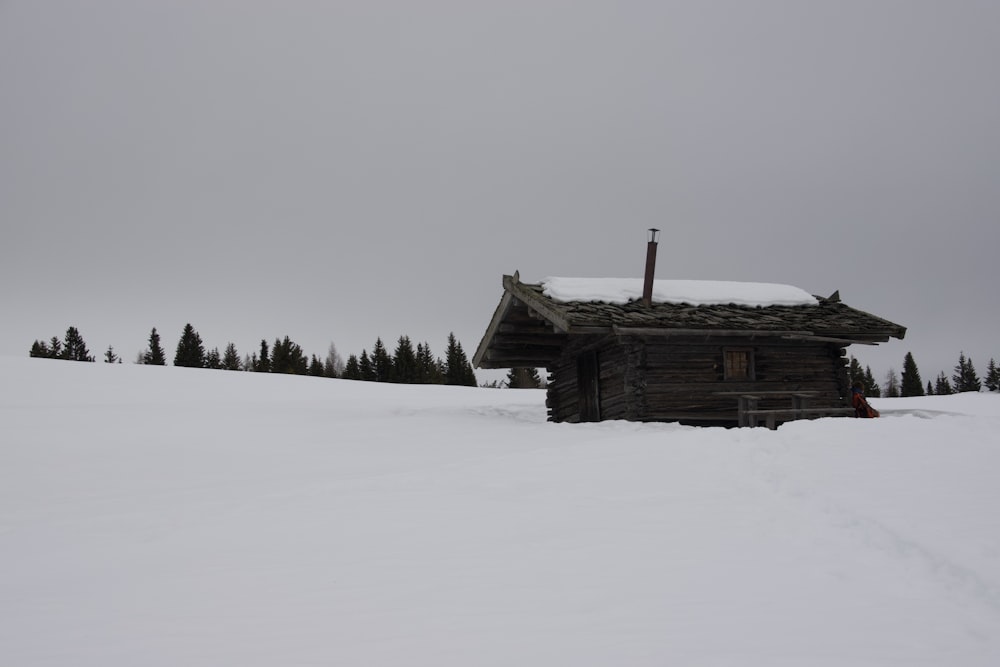 雪に覆われた地面に茶色の木造住宅