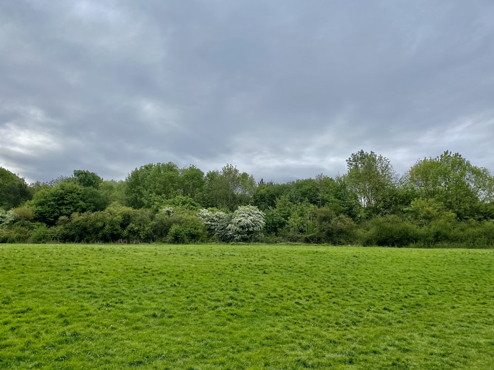 green grass field under cloudy sky during daytime