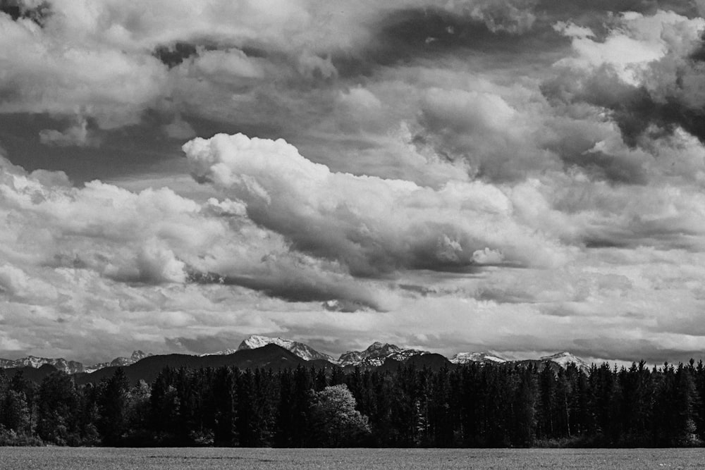 grayscale photo of trees and mountains