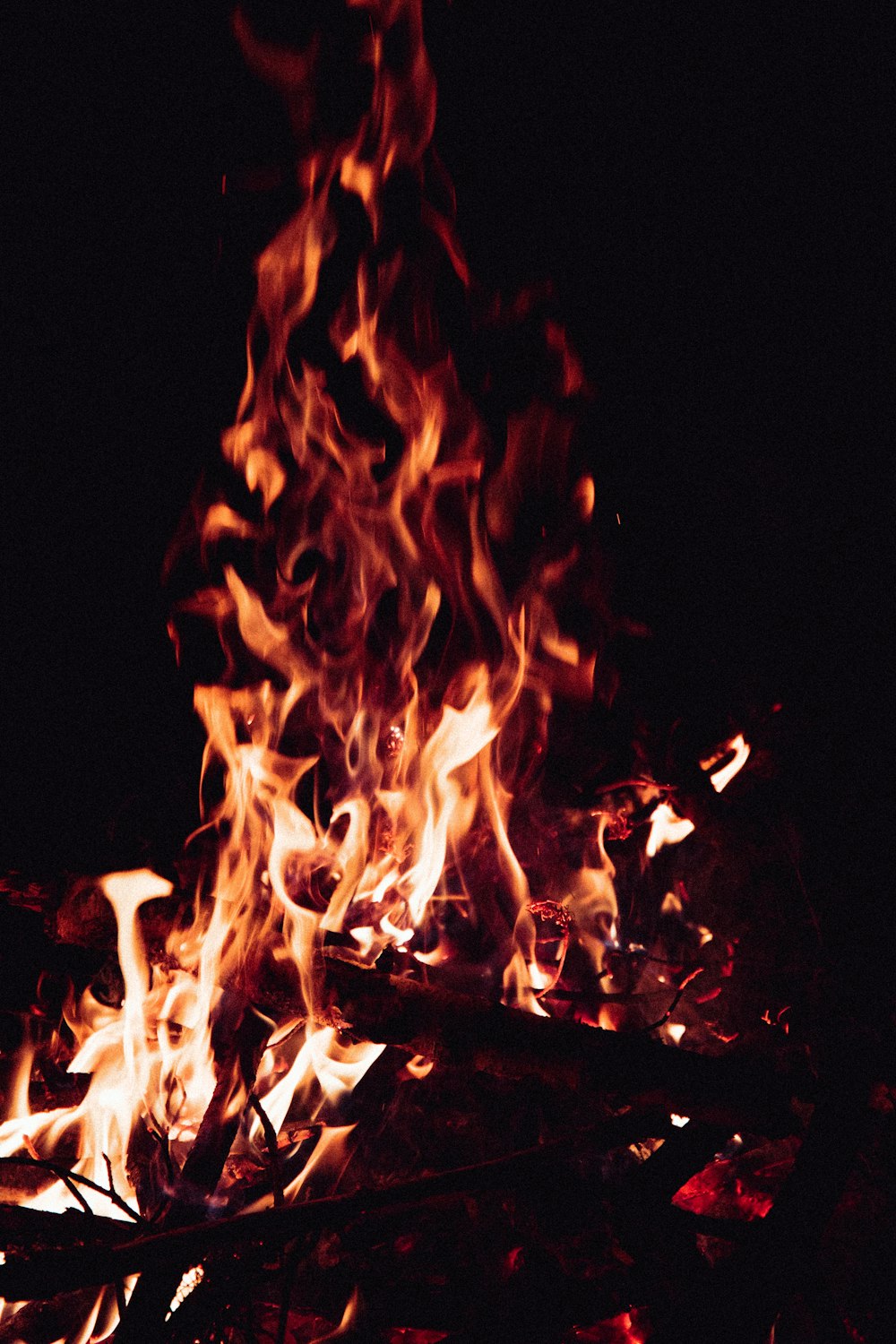 fire in the dark during night time