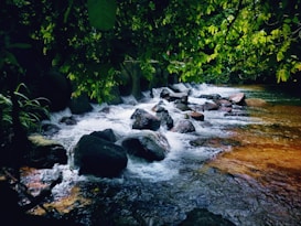 A serene waterfall cascades over smooth rocks, surrounded by lush green foliage. The water sparkles under soft lighting, creating a tranquil and refreshing atmosphere in a dense forest setting.