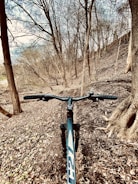 A mountain bike trails through a forested area with leafless trees and a path covered in fallen leaves. The view is from the perspective of the bike, with handlebars in the foreground and the trail leading through the woods.