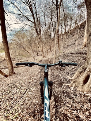 Close-up of a mountain bike tire on a forest trail covered with leaves.