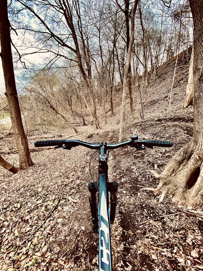 A mountain bike trails through a forested area with leafless trees and a path covered in fallen leaves. The view is from the perspective of the bike, with handlebars in the foreground and the trail leading through the woods.