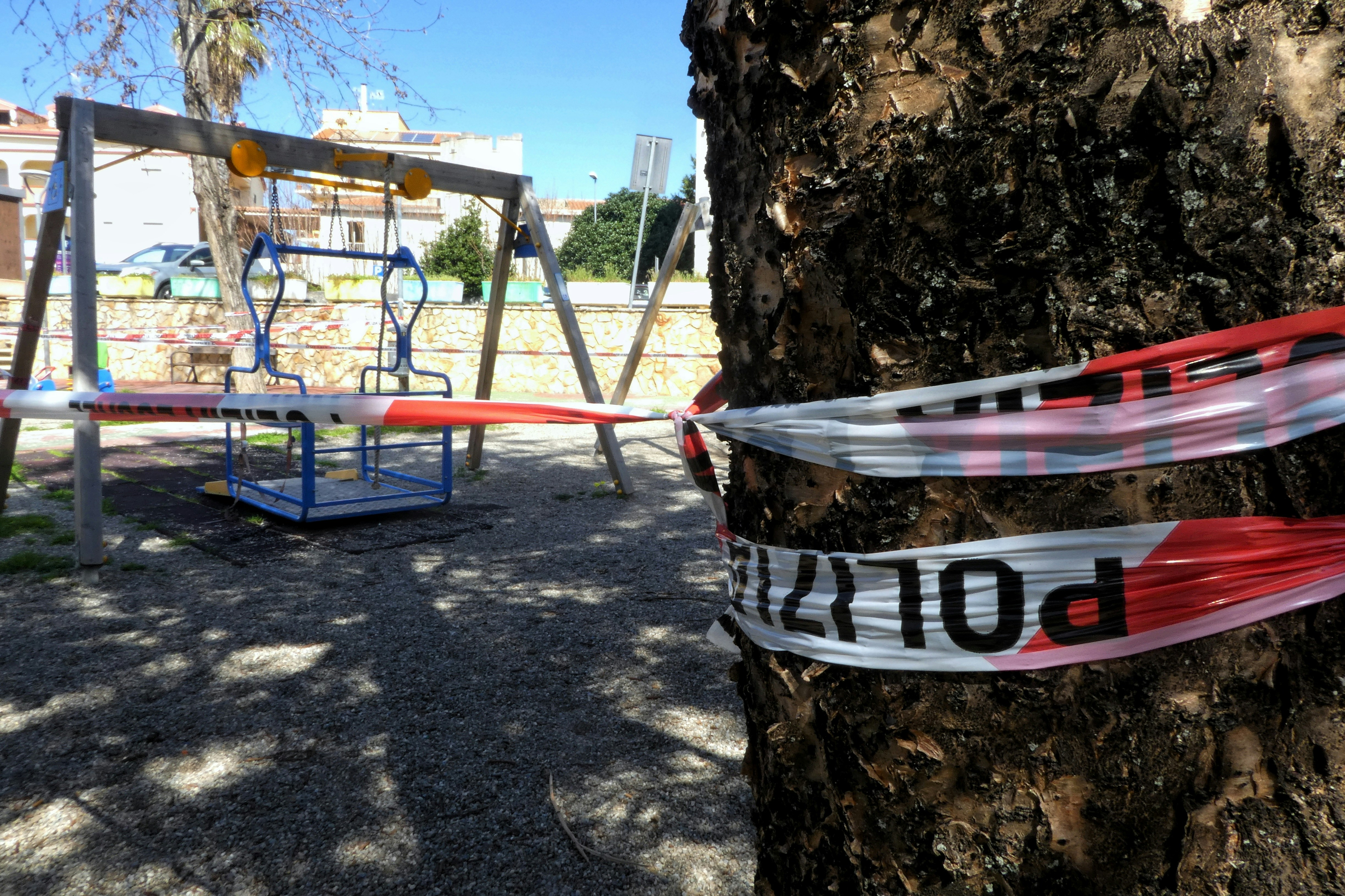 confezione di plastica bianca e rossa su tronco d'albero marrone