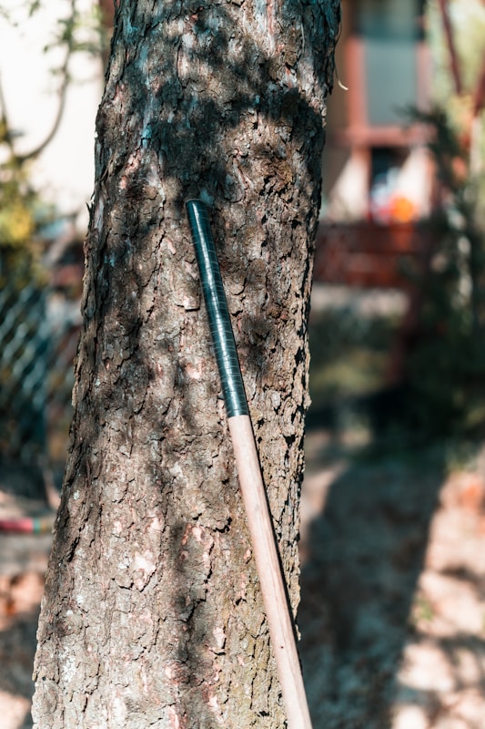 Canes & Walking Sticks