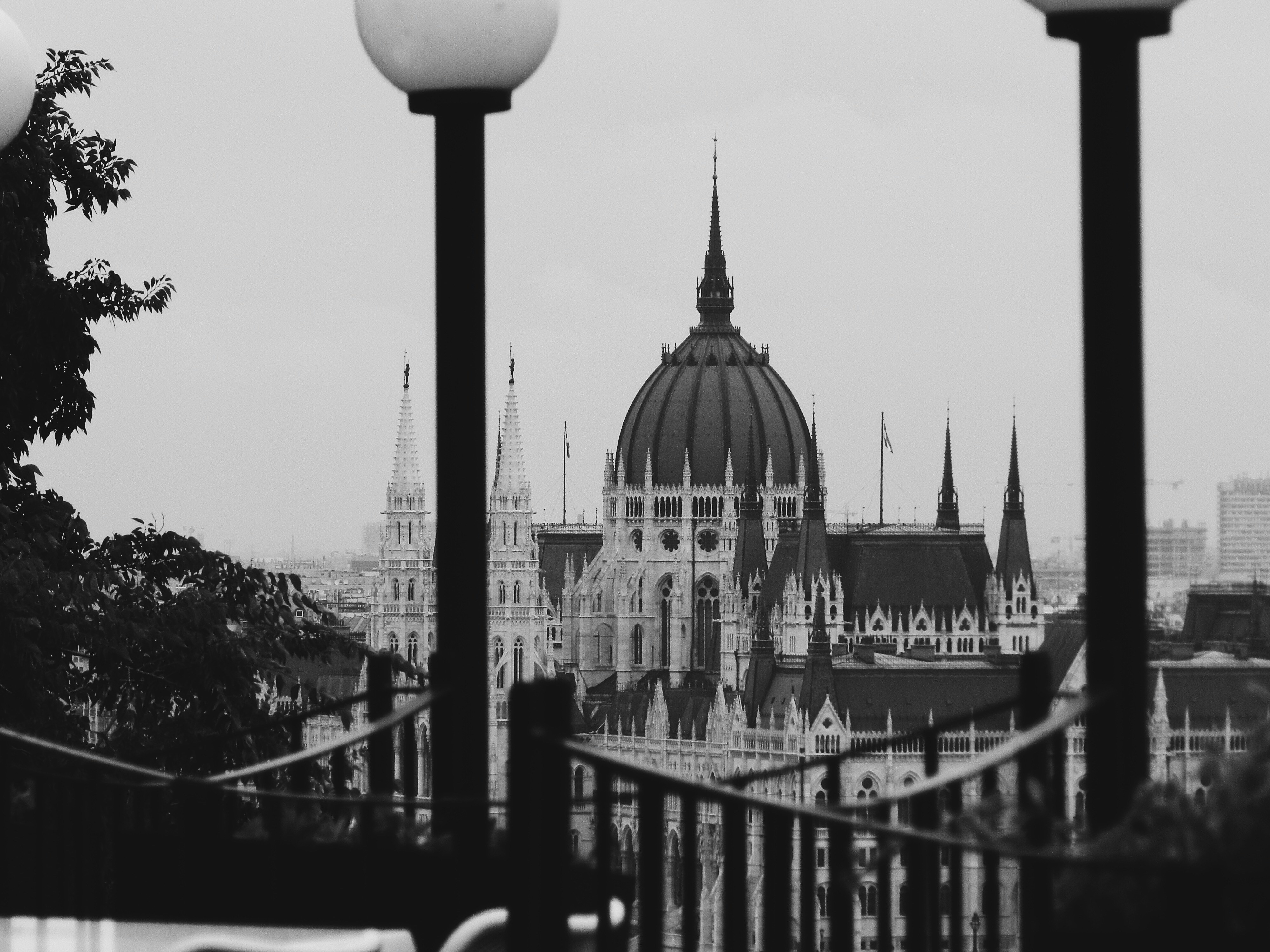 Photo by giuliagalante