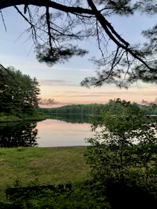 A serene pastel-colored landscape with soft morning light filtering through trees near a calm lake.