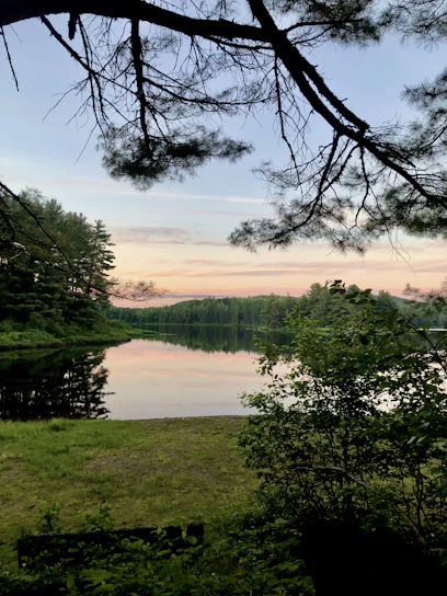 A serene pastel-colored landscape with soft morning light filtering through trees near a calm lake.