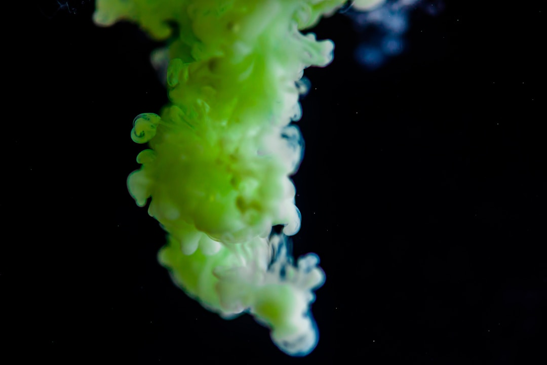 Duckweed growing atop aquarium