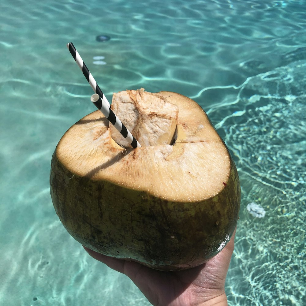 person holding coconut fruit with black straw