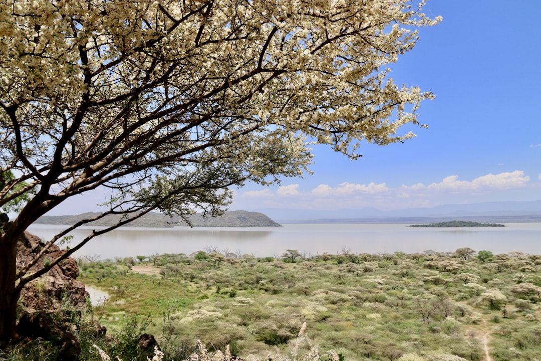 travelers stories about Shore in Lake Baringo, Kenya
