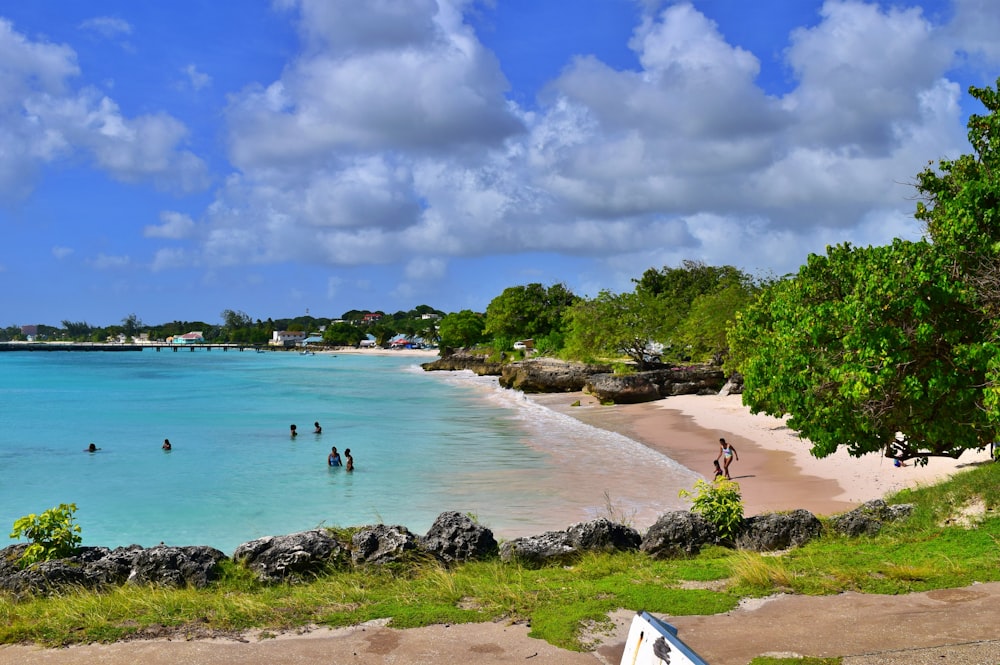 people on beach during daytime