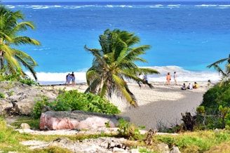 people on beach during daytime