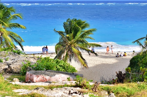 people on beach during daytime