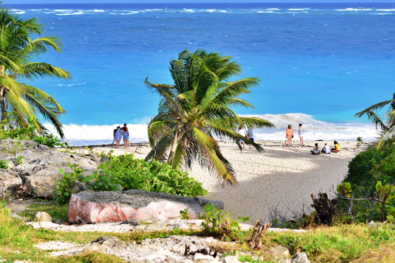 People spending the day together on a beach