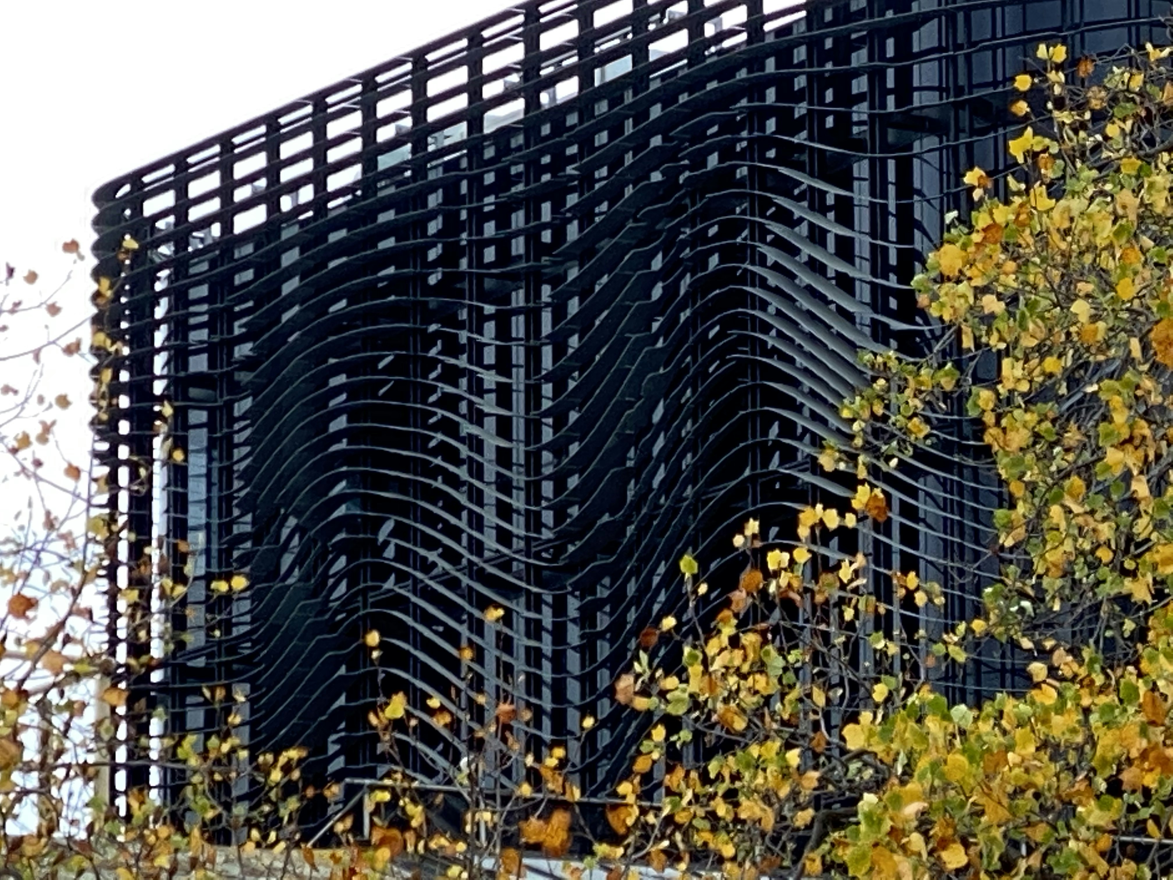 Dark apartment facade behind autumn leaves