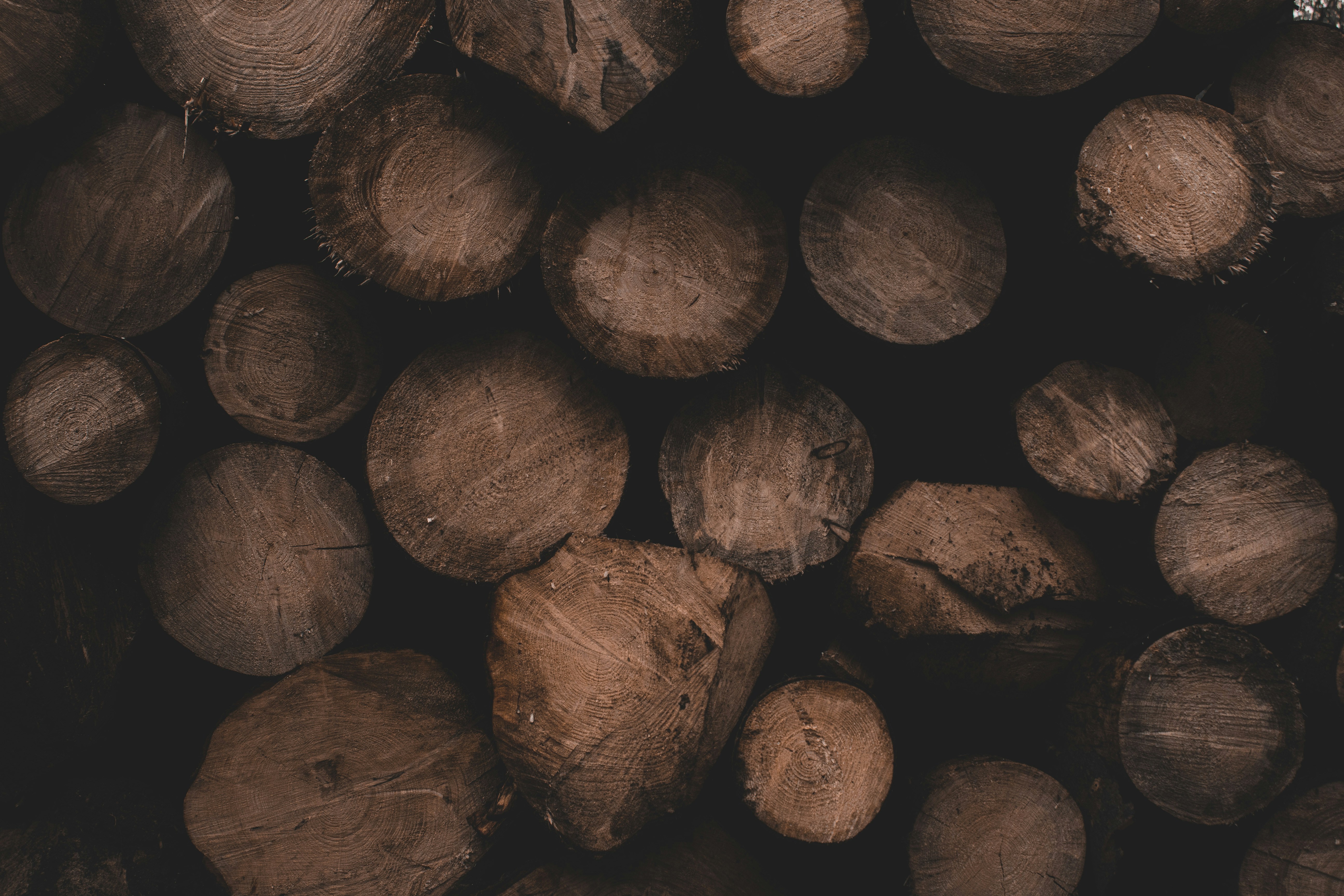 Photo by augustijnfotografie