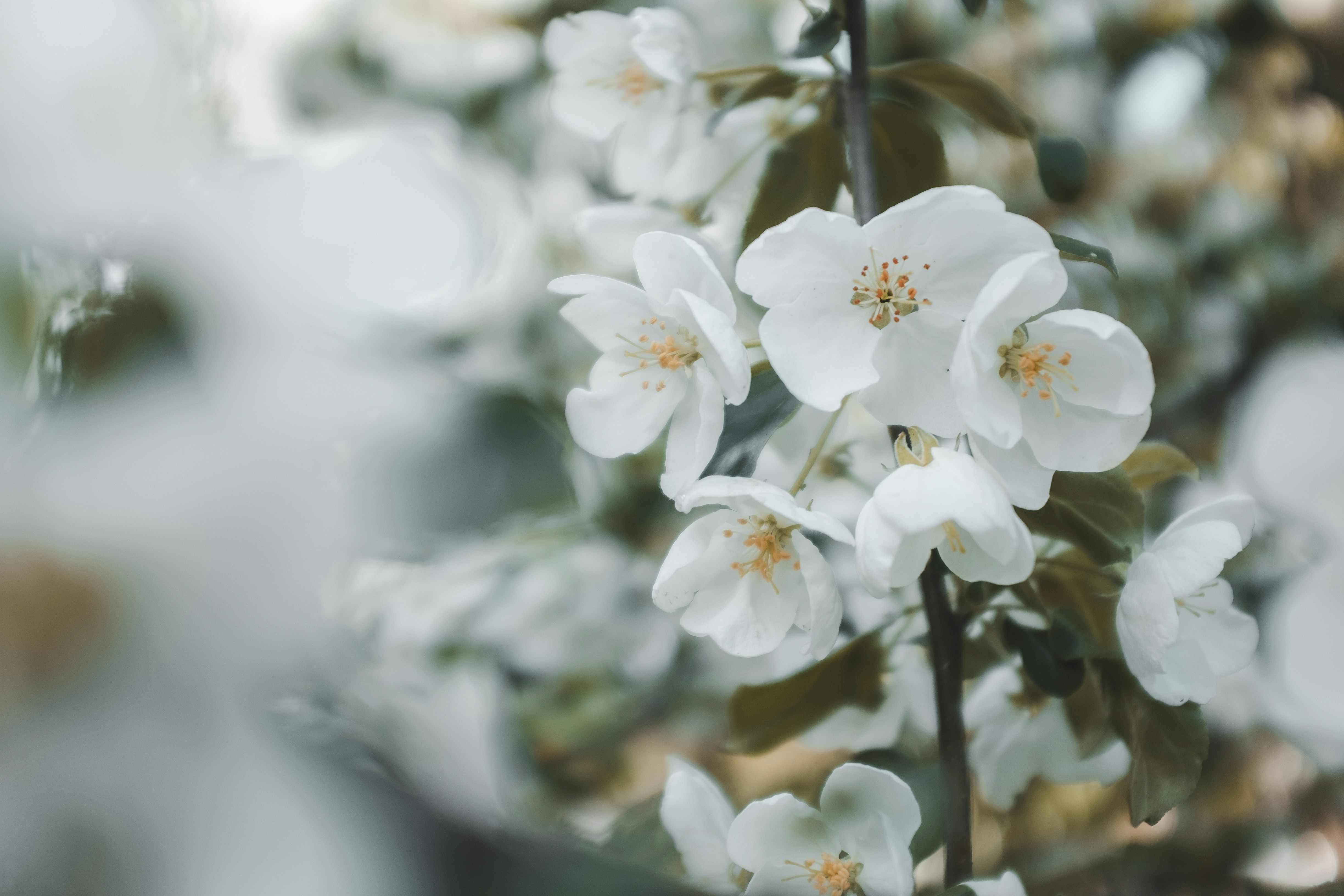 Photo by walkthecreator