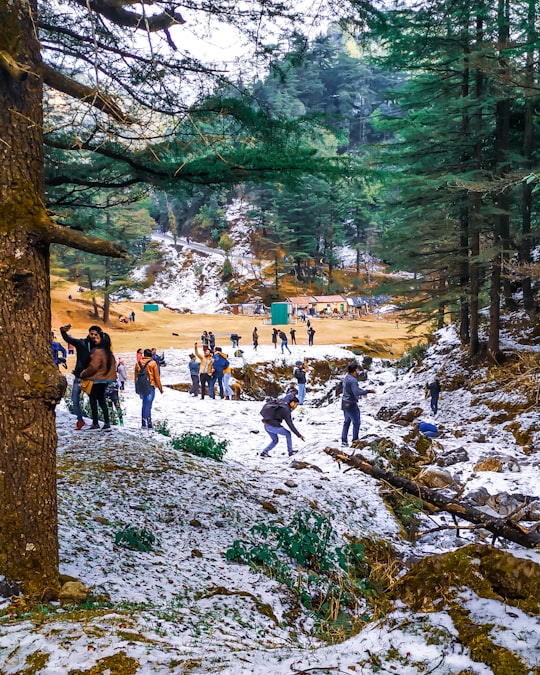 people walking on rocky road during daytime in Mussoorie India