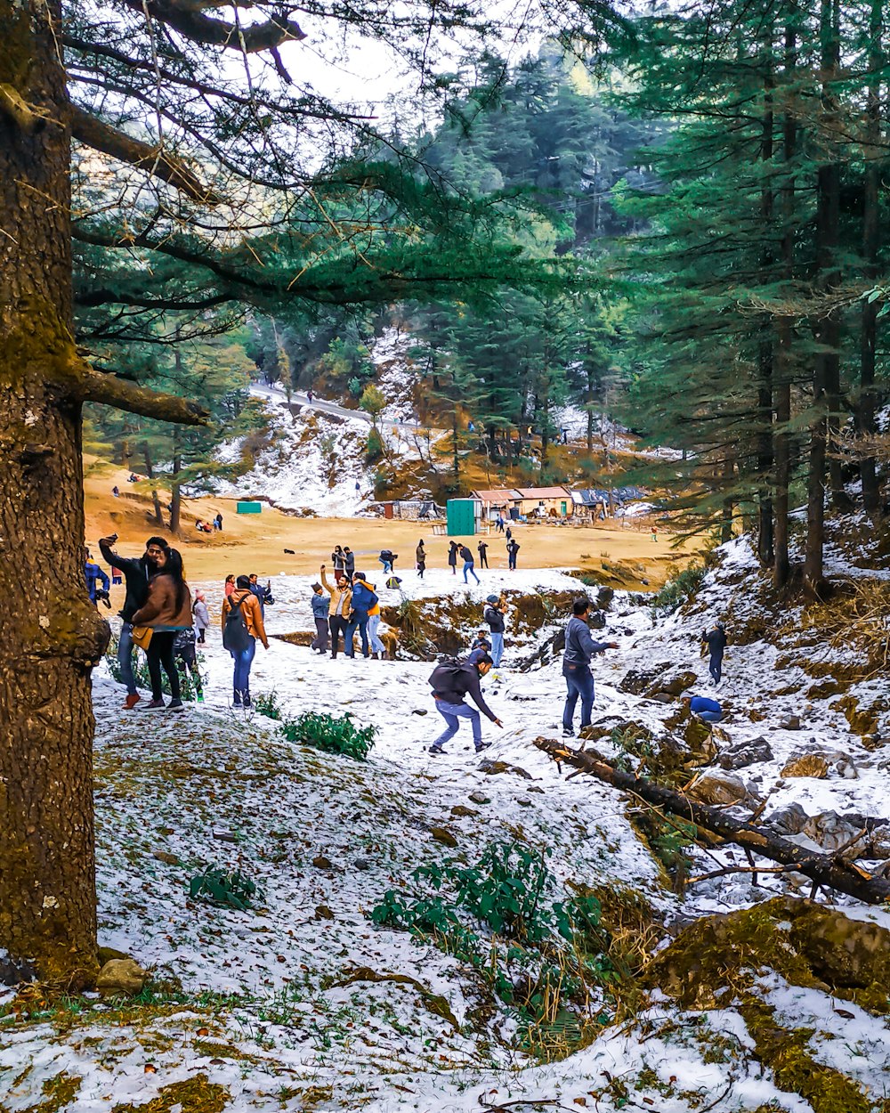 people walking on rocky road during daytime