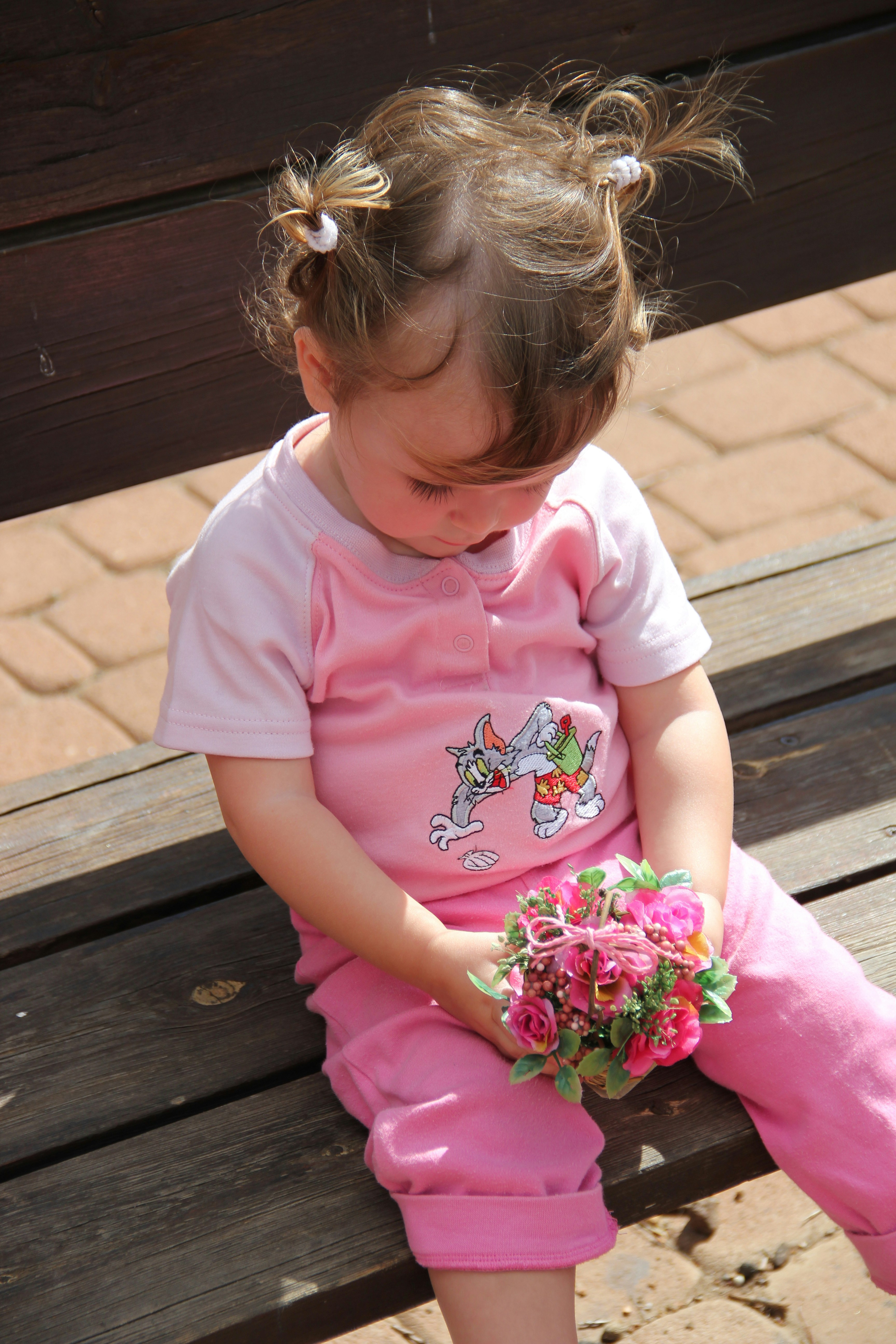 Photo by shalevcohen