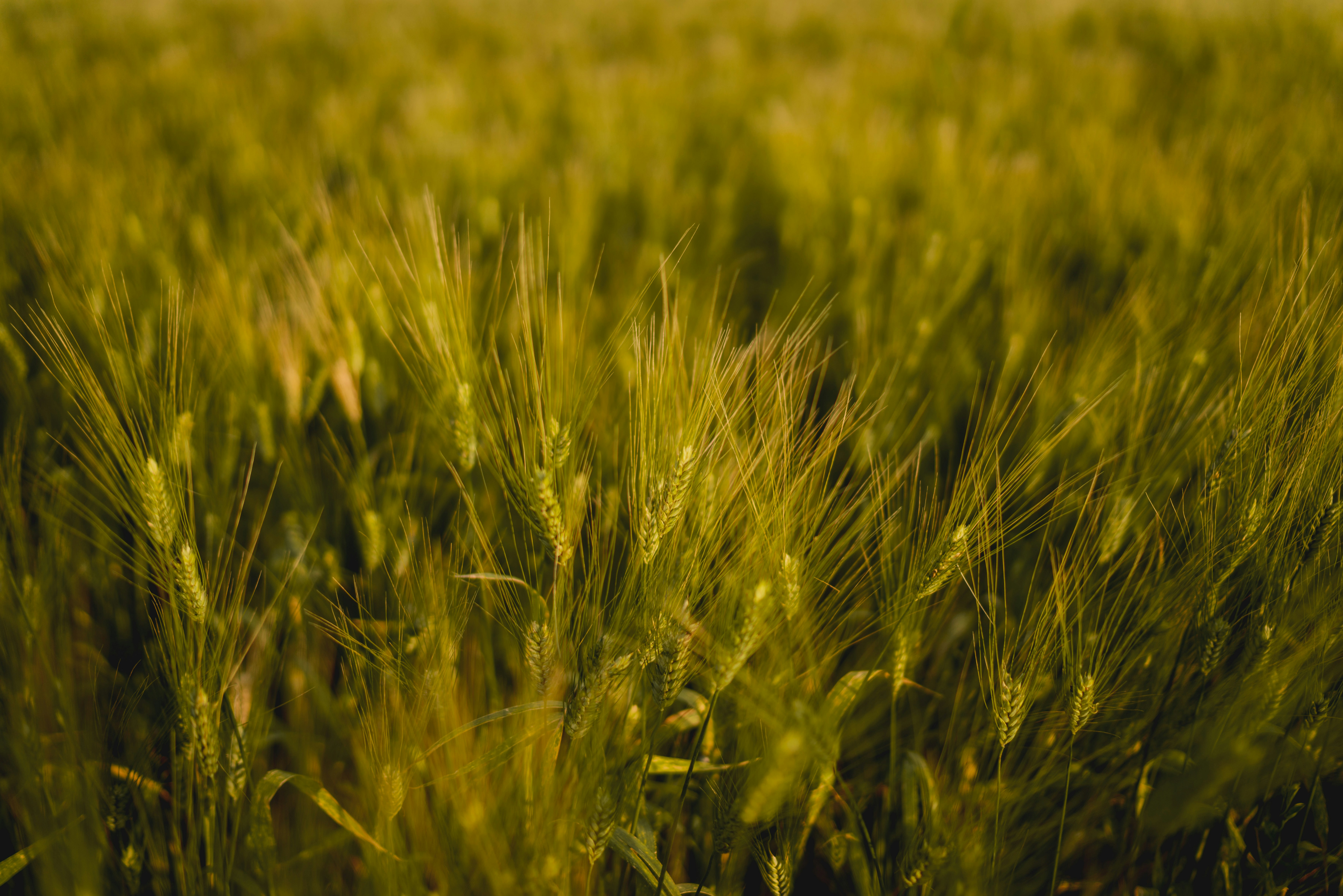 Photo by federicaariemma