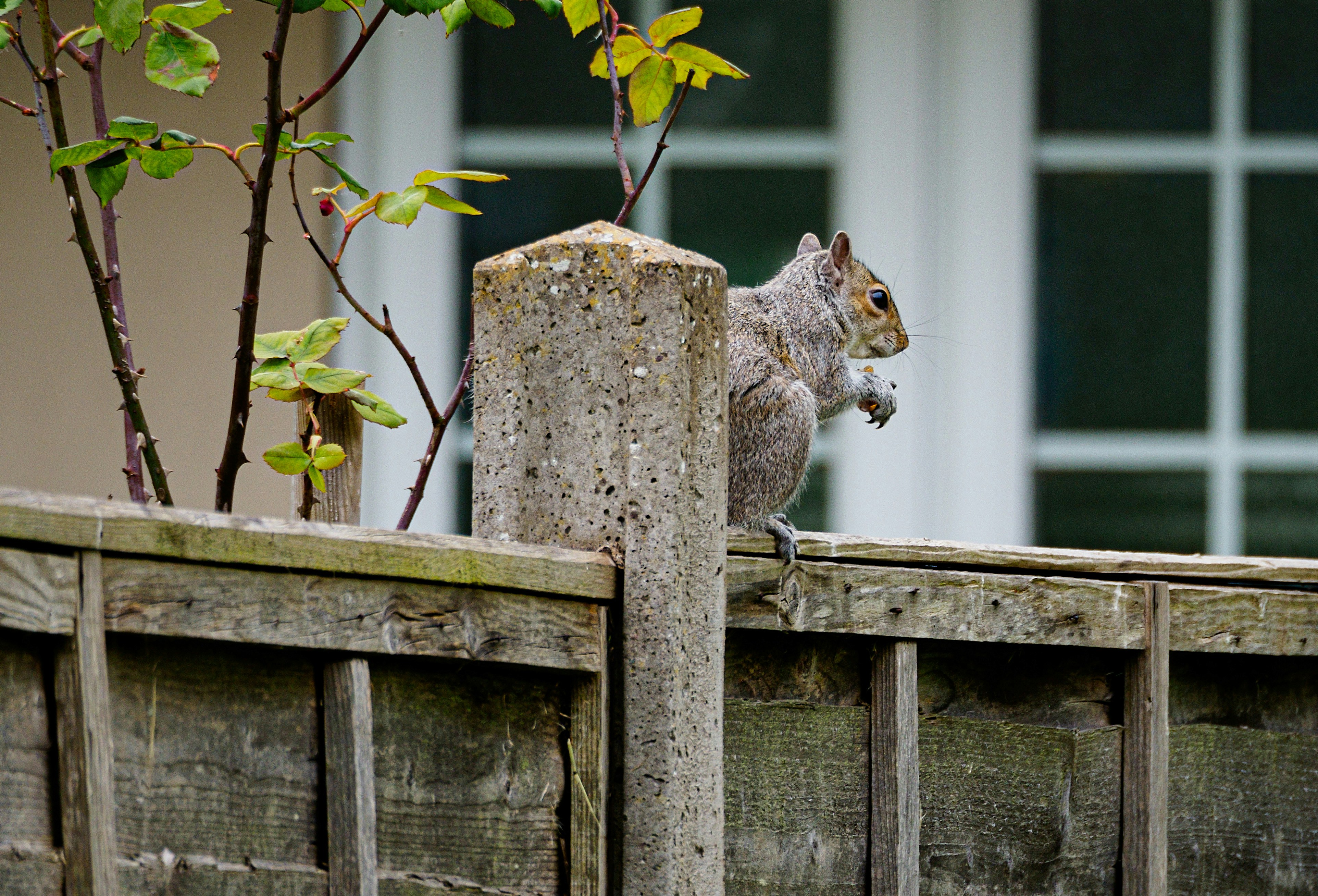 Photo by brett_jordan