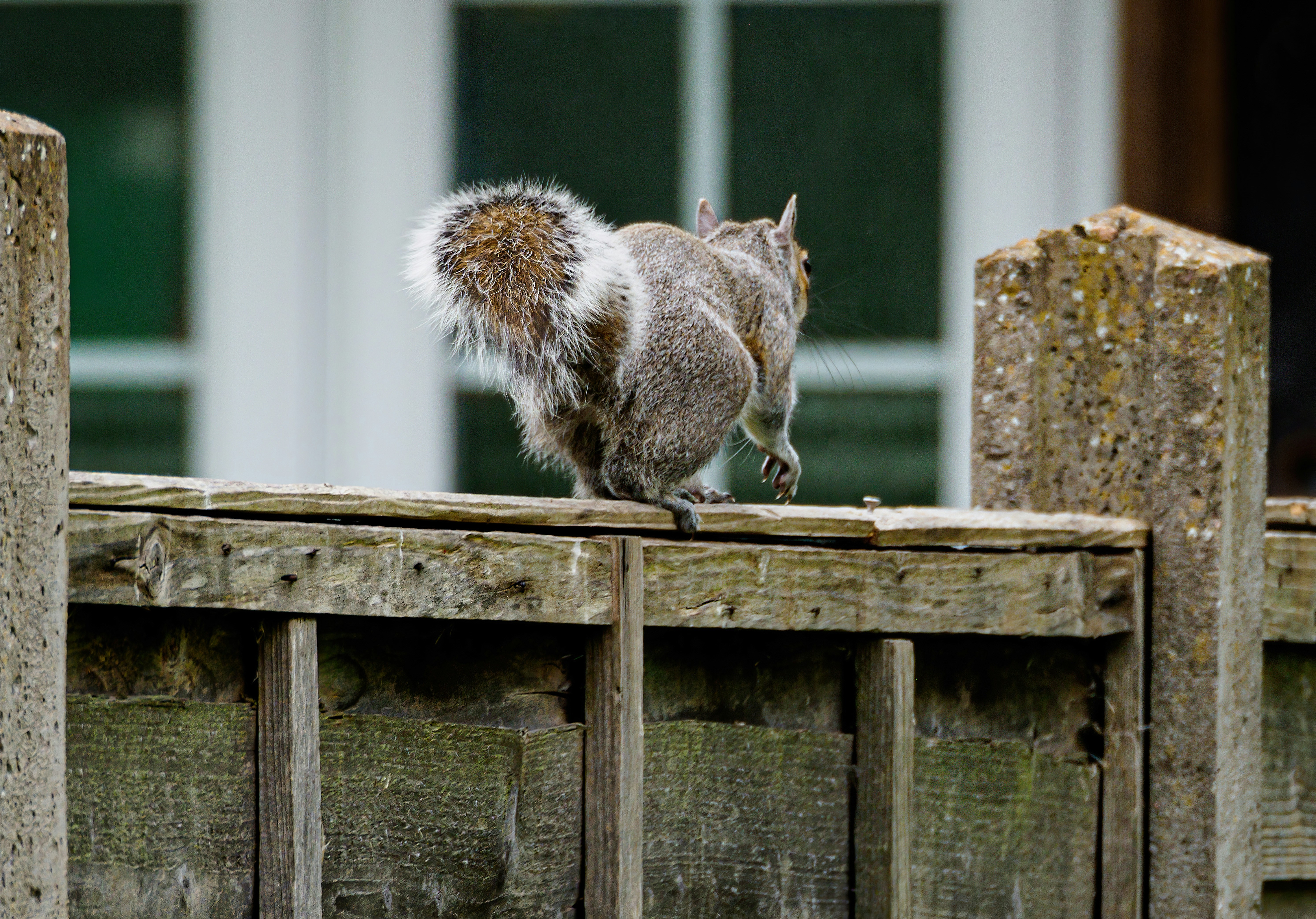 Photo by brett_jordan