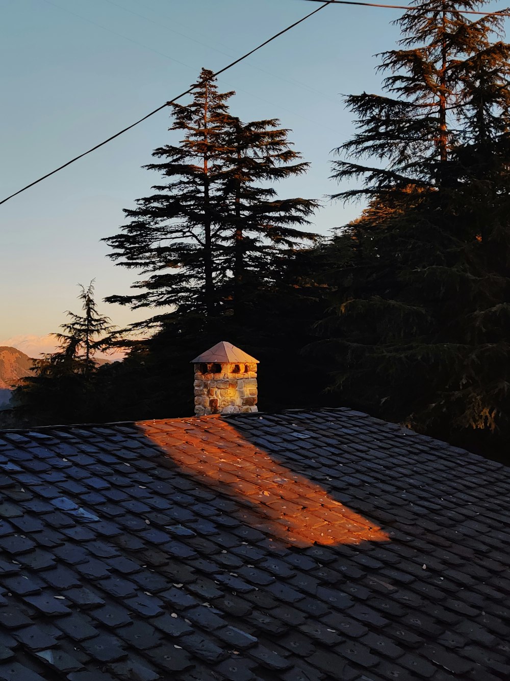 brown wooden house near trees during daytime