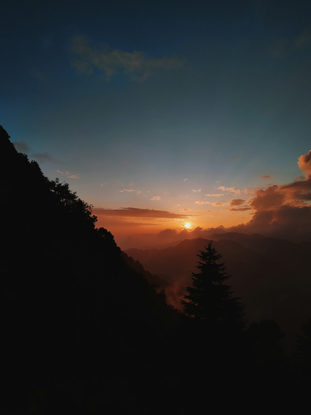 silhouette of trees during sunset