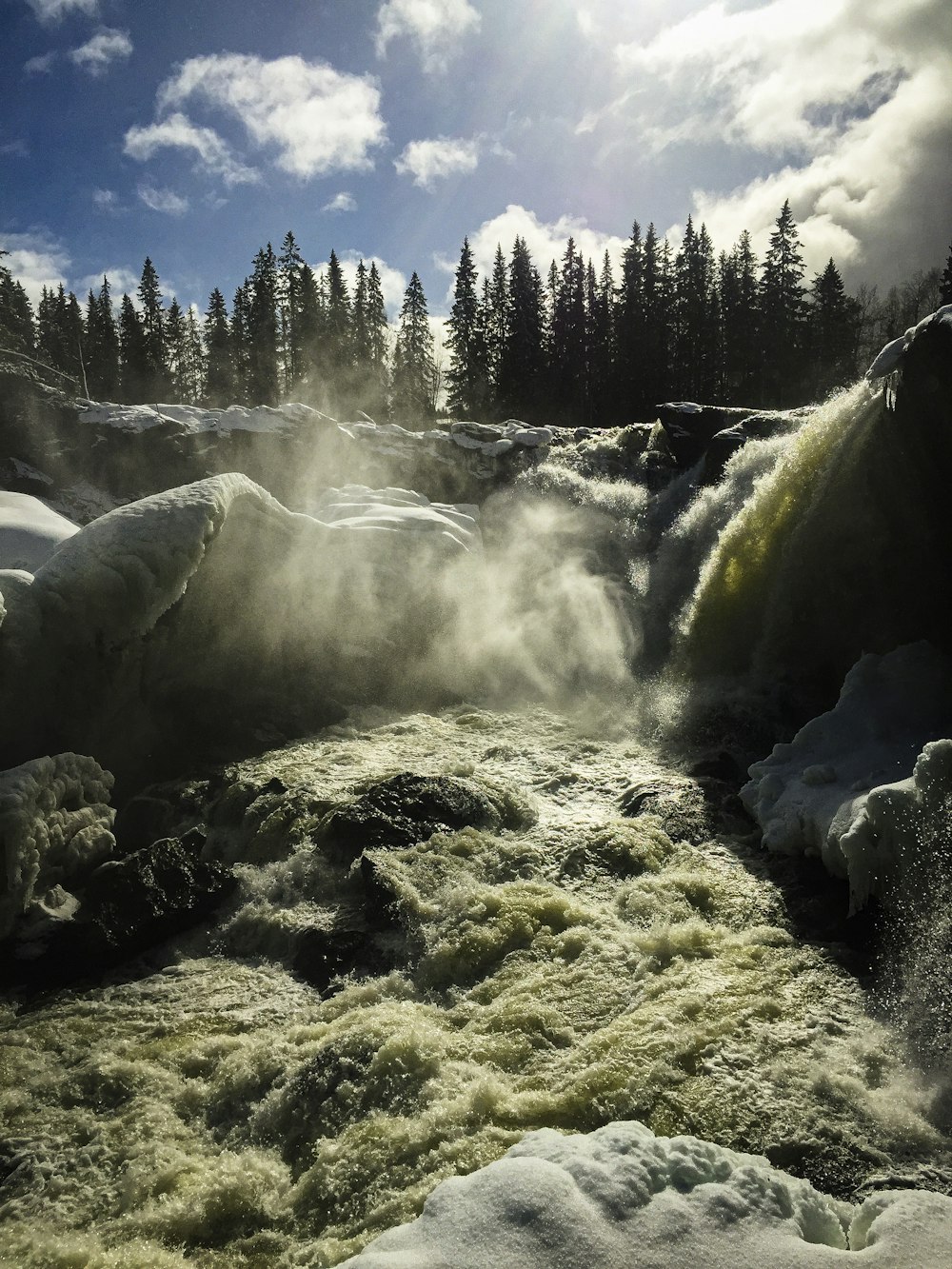 grayscale photo of waterfalls near trees