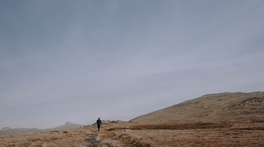 person walking on brown field during daytime in Kosciuszko National Park NSW Australia