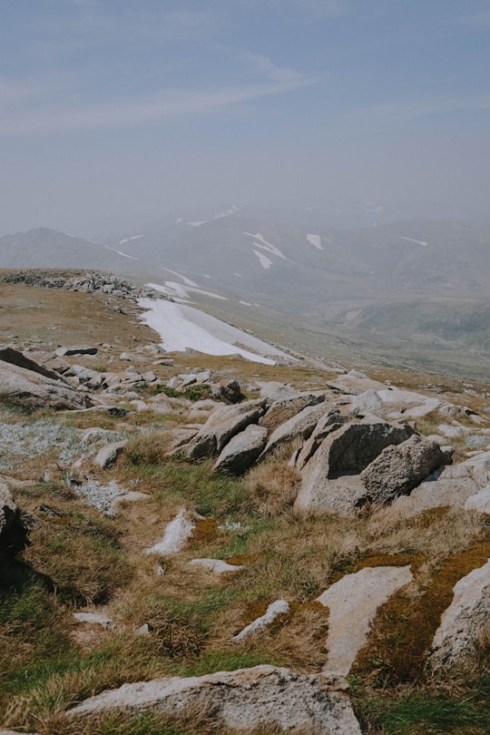 green grass field on mountain during daytime in Kosciuszko National Park NSW Australia