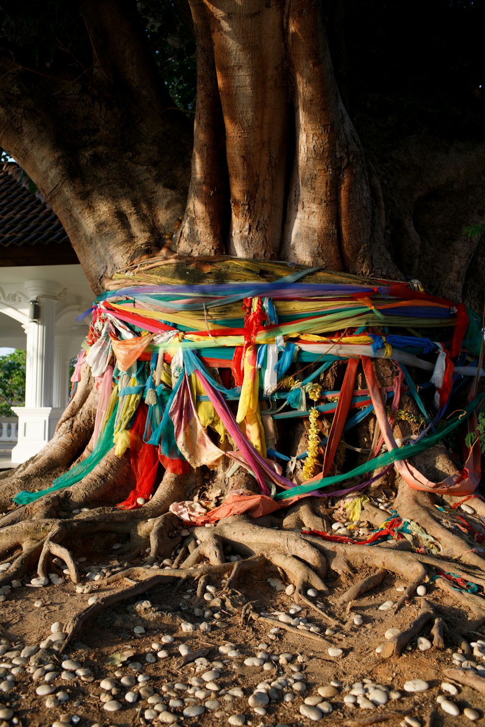 multi colored textile on brown tree trunk