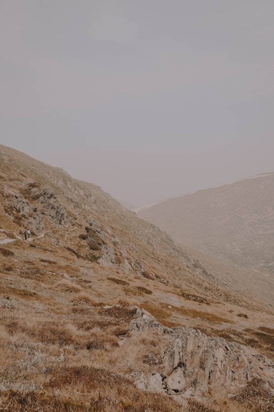 brown and gray mountains under white sky during daytime in Kosciuszko National Park NSW Australia