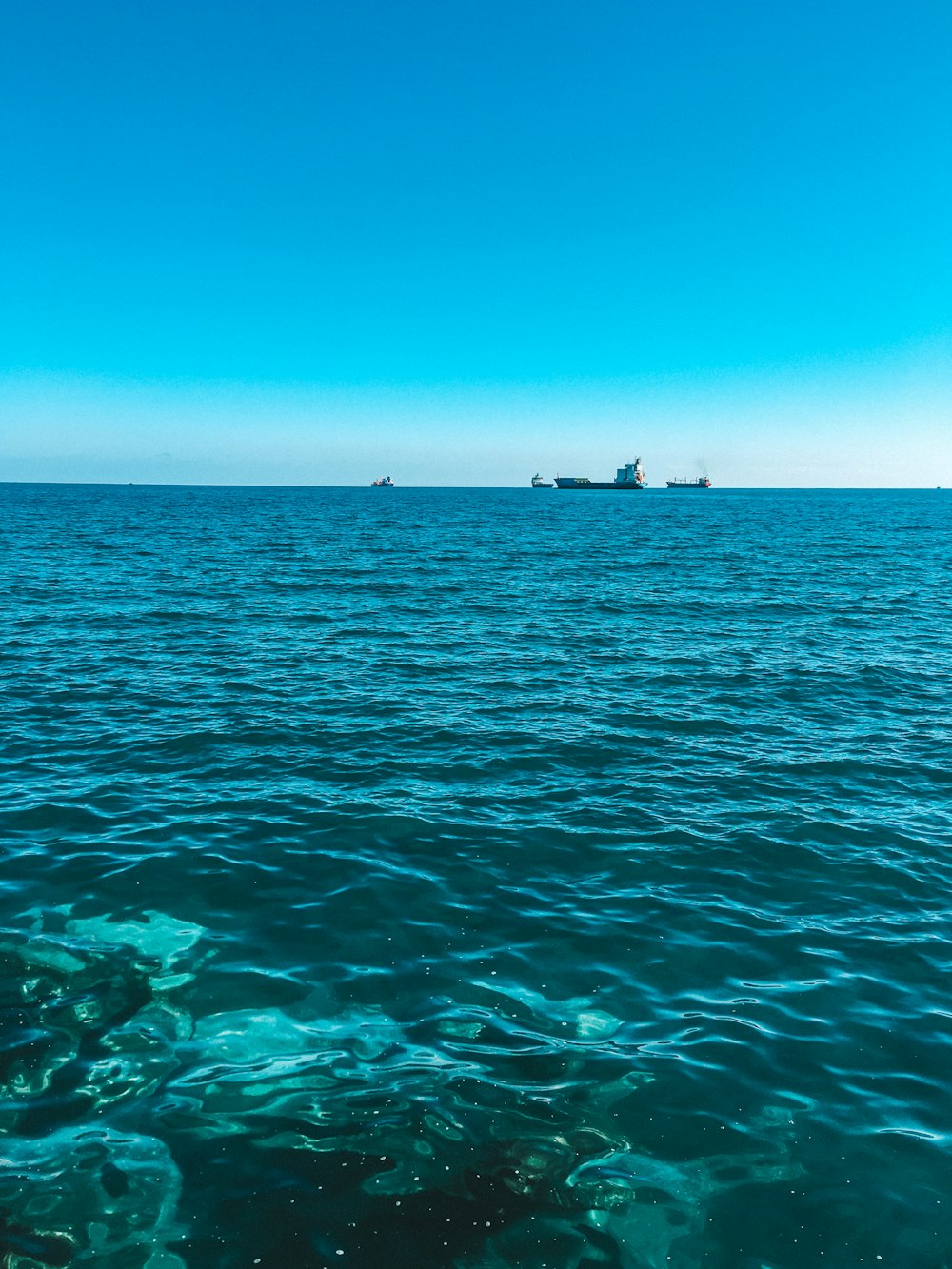 people in sea during daytime