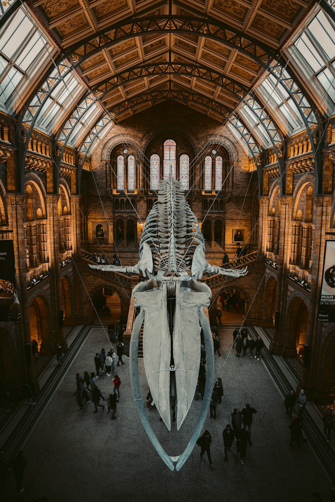 Basilica photo spot London Natural History Museum