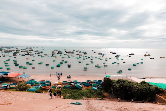 Fishing Harbour - Mui Ne things to do in Thành phố Phan Thiết